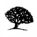 www.earthytimber.com