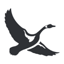 www.eddiebauer.com