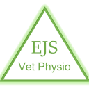 www.ejsvetphysio.co.uk