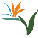 www.exotic-plants.de