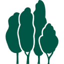 www.fast-growing-trees.com