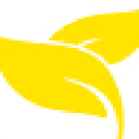 www.freshshoes.pl