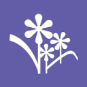www.fromyouflowers.com