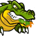 www.gatormetalroofing.com