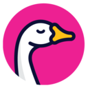 www.gooseinsurance.com