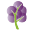 www.grapetree.co.uk