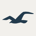 www.hollisterco.com
