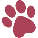 www.hunde-kattepension.dk