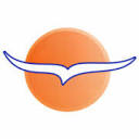 www.intercape.co.za