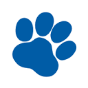 www.ispca.ie
