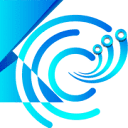www.kingscel.com