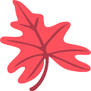 www.majoli.io