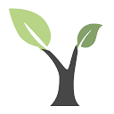 www.moneytreefinancial.co.uk