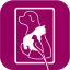 www.mulberryvets.co.uk