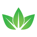 www.myohealth.com