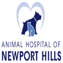 www.newporthillsvet.com
