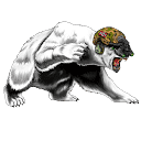 www.polarbeartactical.com