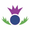 www.premierwindscreens.co.uk