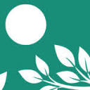 www.thewoodsmedical.com.au