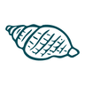 www.tidewatersandals.com
