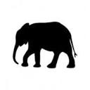 www.topcreamsafaris.com