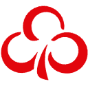 www.trefl.com