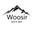 www.woosir.com