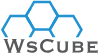 www.wscubetech.com