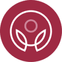 yogasanaa.com