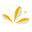 yourdaye.com
